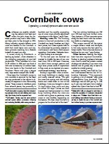corn belt cows pdf image