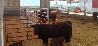 Minnesota Farmfest
